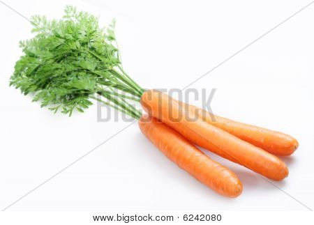 Carrot_01A