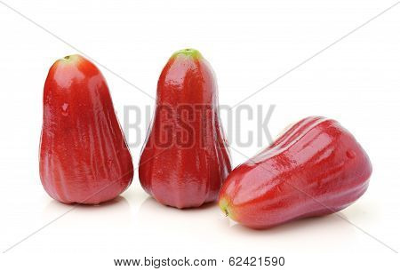Roseapple Isolated On White Background