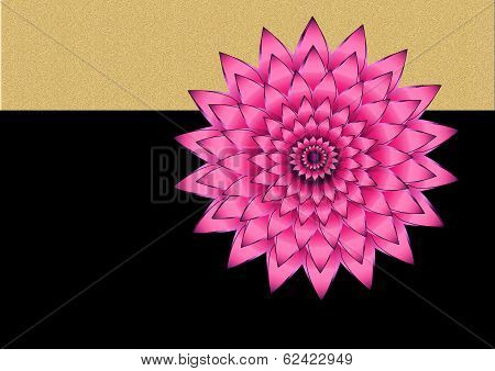Pink flower