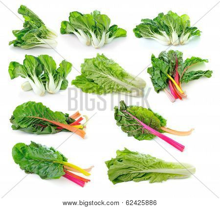 Lettuce Leaves Isolated On White Background