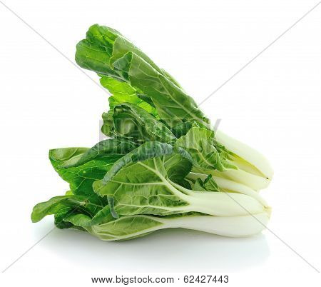 Pok Choi On White Background