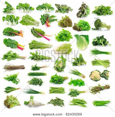 Vegetables Collection Isolated On White Background