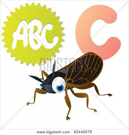 C is for Cicada