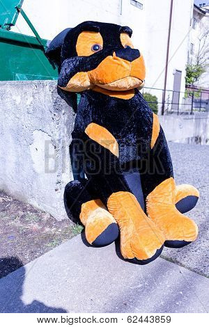 Sad Stuffed Dog Abandoned By Dumpter