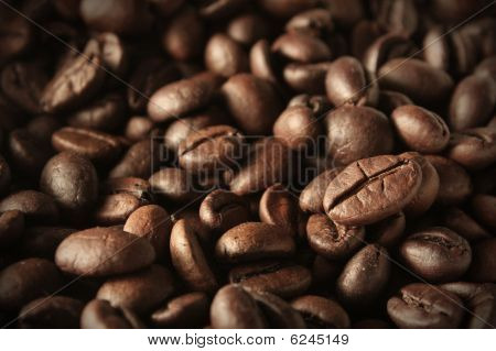Close-Up de grãos de café