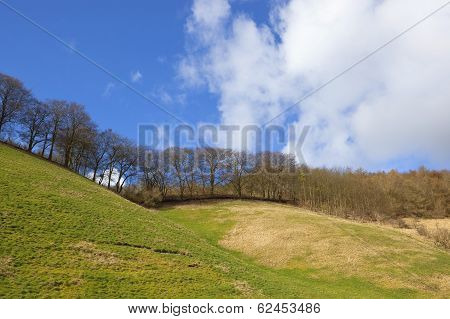 Grassy Hillside With Trees