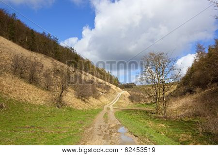 Countryside Track