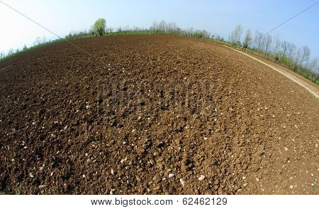 Newly Sown Grain Field In Spring