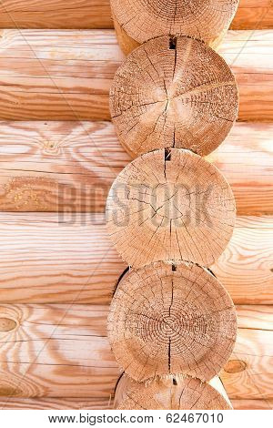 Wooden Hause. Sectioned Log.