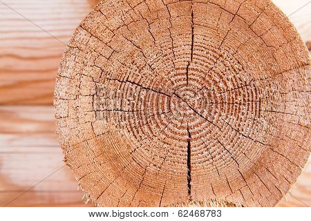 Wooden Wall. Sectioned Log. Texture, Pattern
