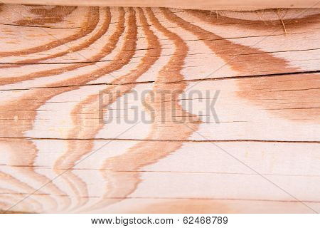 Wooden Wall. Sectioned Log. Texture, Pattern