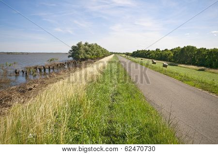 Road On Dike