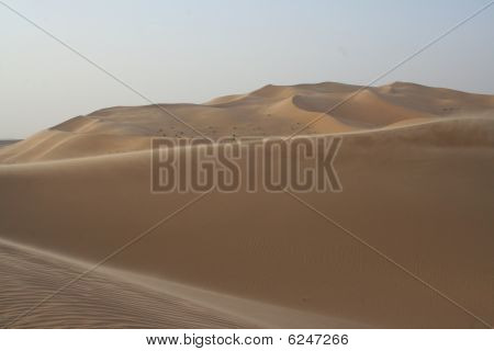 Sabbia del deserto