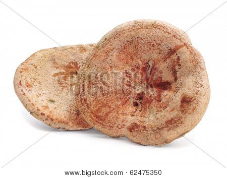 some rovellons, typical autumn mushroom of Spain, on a white background