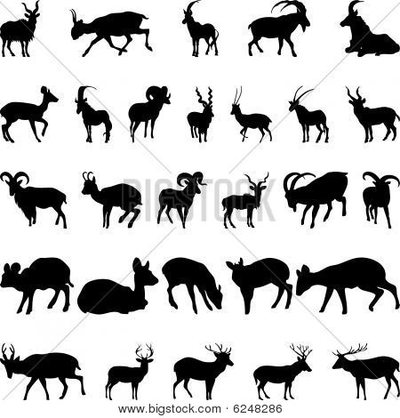 jelen a kozy siluety sada