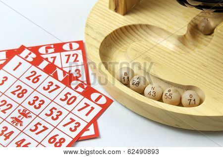 Bingo