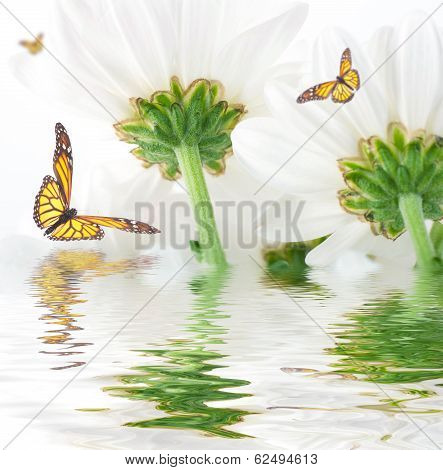 Flowers and batterfly, dark blue hand bells