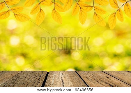Spring Green Leaf With Bokeh And Sunlight And Wood Floo