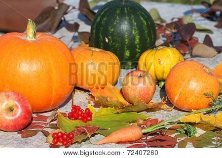 autumn still life