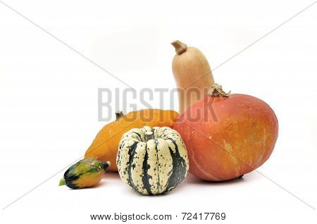 Various Squashes