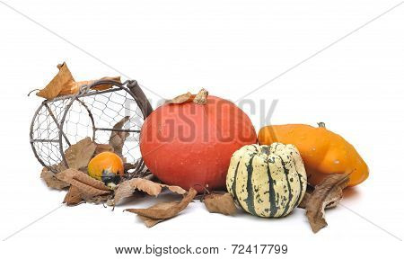 Various Squashes