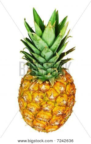 Ananas entier isolé on white