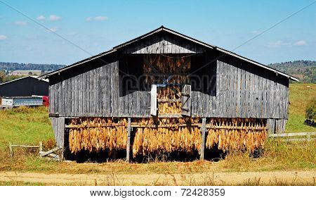 Tobacco Barn