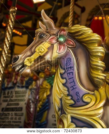 Fun of the Fair