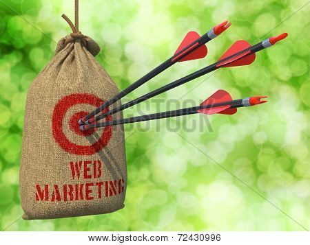 Web Marketing - Arrows Hit in Red Target.