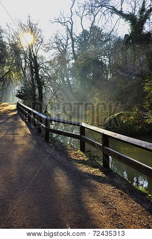 Early morning mist