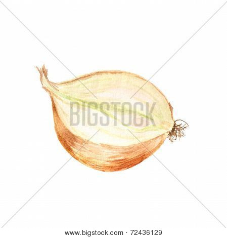 Half of onion