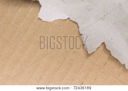 A Sheet Of Torn Paper
