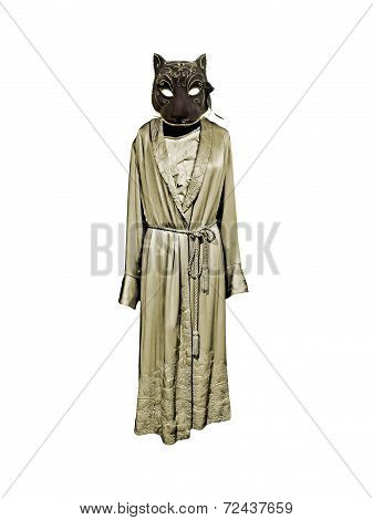 Catwoman With Nightdress