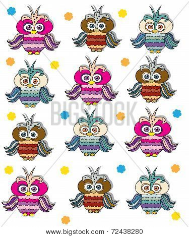 owls