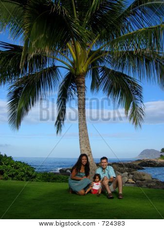 Hawaiian Vacation