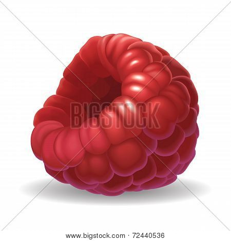 Raspberry isolated on white background