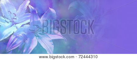 Beautiful Blue Wedding Lillies Banner