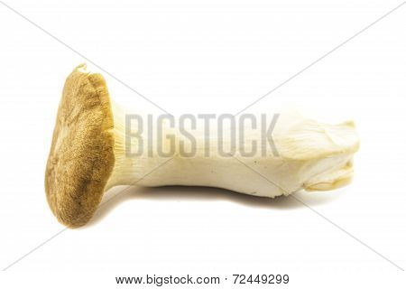 Eringi