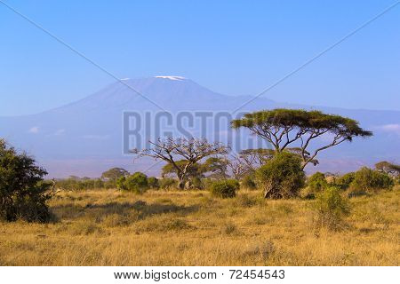 Kilimanjaro