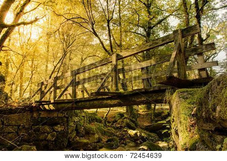 Wood Bridge In Geres
