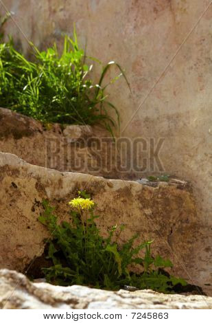 Bath rzymskich ruin