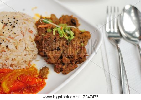 Malajski-wegetariańskie Rendang kurczaka lub Baranina ryżu
