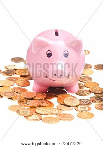 Piggy Bank And Golden Coins