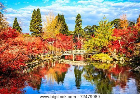 Autumn Colors In Eikando Temple, Kyoto, Kansai, Japan