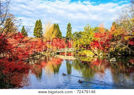 Autumn Colors In Eikando Temple, Kyoto, Kansai, Japan