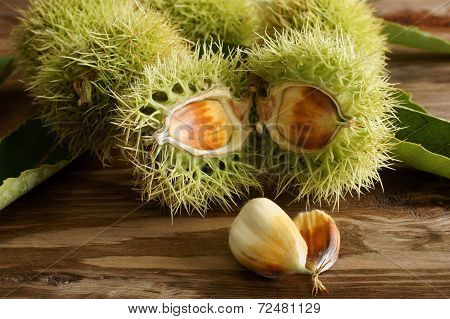 Chestnuts