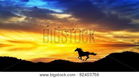 horse running through the mountains at sunset