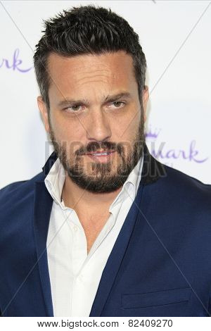 LOS ANGELES - JAN 8: Fabio Viviani at the TCA Winter 2015 Event For Hallmark Channel and Hallmark Movies & Mysteries at Tournament House on January 8, 2015 in Pasadena, CA