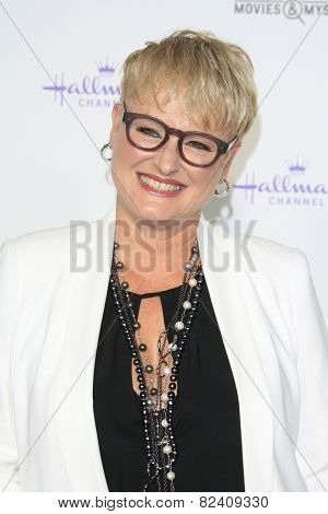 LOS ANGELES - JAN 8: Dr JJ Levenstein at the TCA Winter 2015 Event For Hallmark Channel and Hallmark Movies & Mysteries at Tournament House on January 8, 2015 in Pasadena, CA