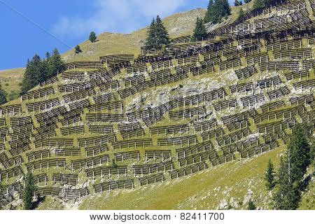 Alps